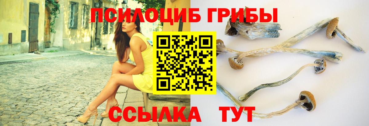 Феодосия  Псилоцибиновые грибы Cubensis  где купить наркотик  Вход с VPN 